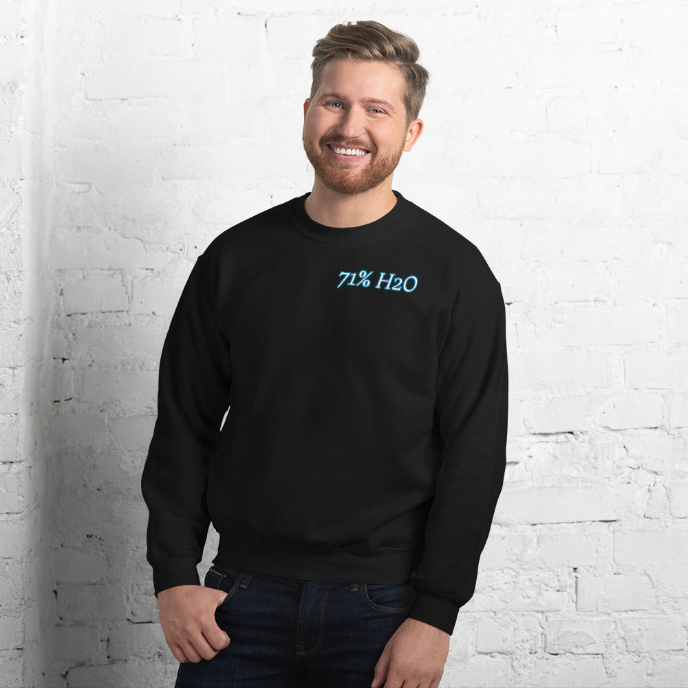 Not Entirely Terriblr Unisex Sweatshirt
