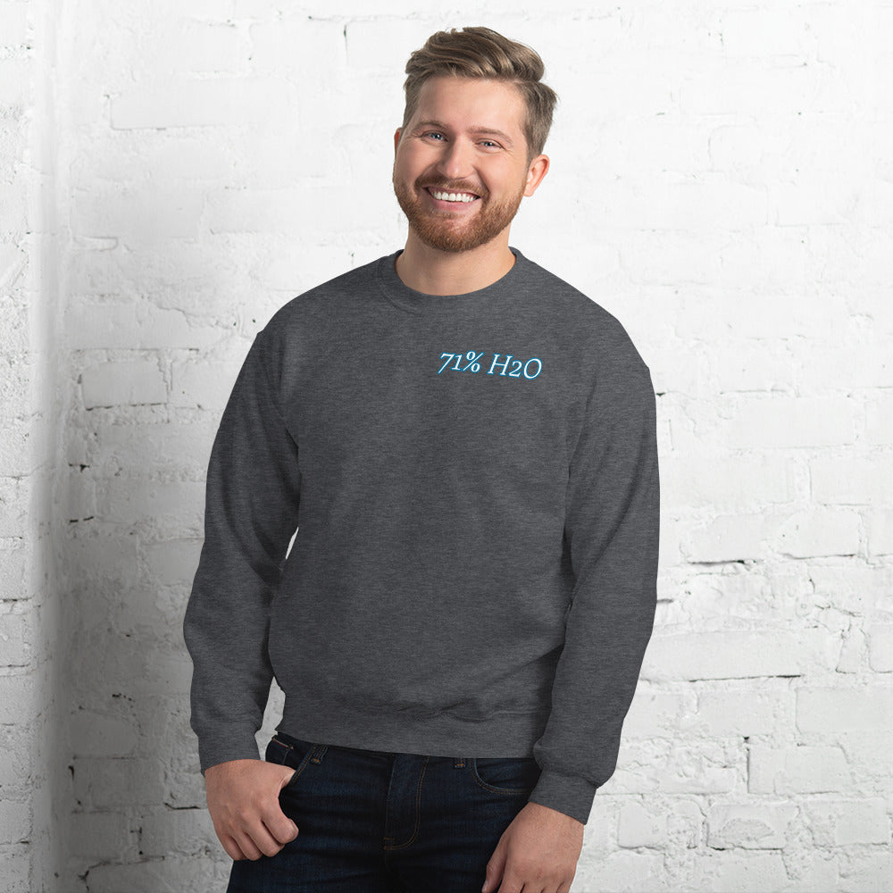Not Entirely Terriblr Unisex Sweatshirt