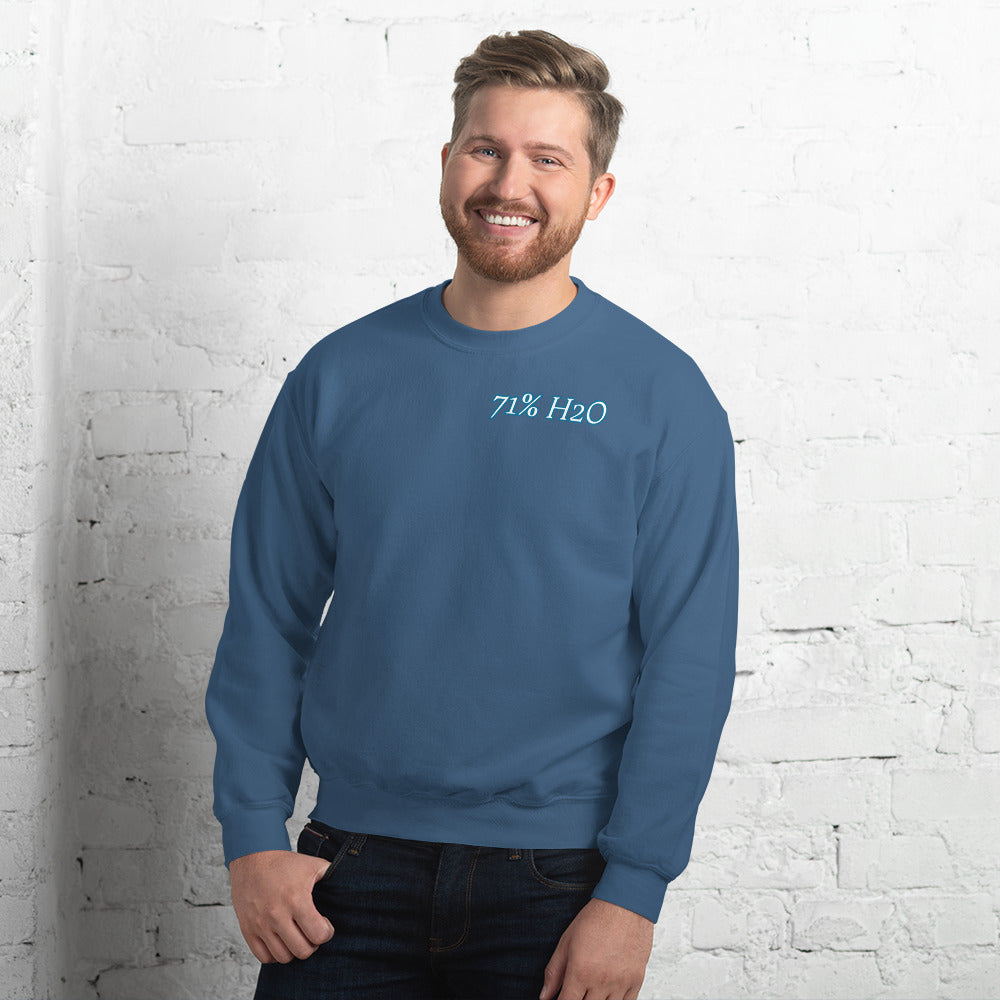 Not Entirely Terriblr Unisex Sweatshirt