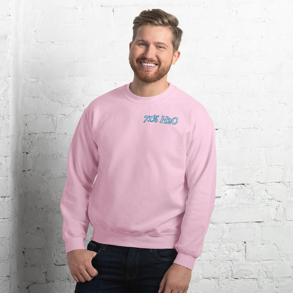 Not Entirely Terriblr Unisex Sweatshirt