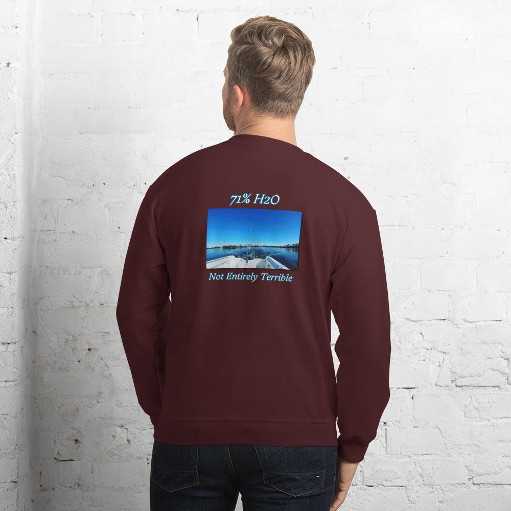 Not Entirely Terriblr Unisex Sweatshirt