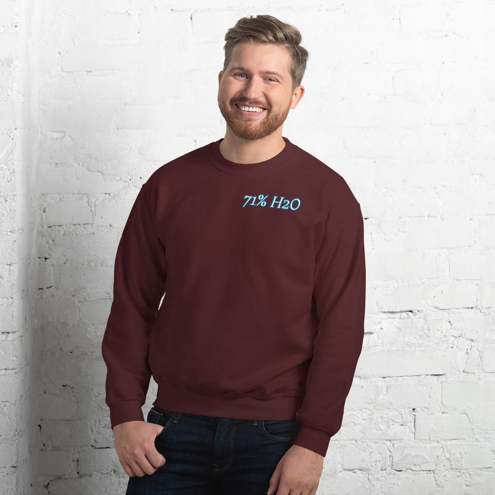 Not Entirely Terriblr Unisex Sweatshirt