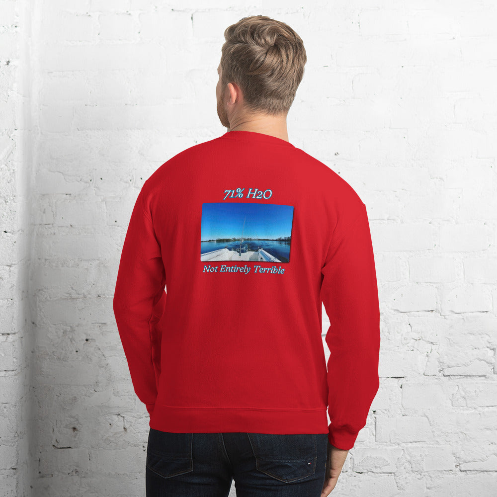 Not Entirely Terriblr Unisex Sweatshirt