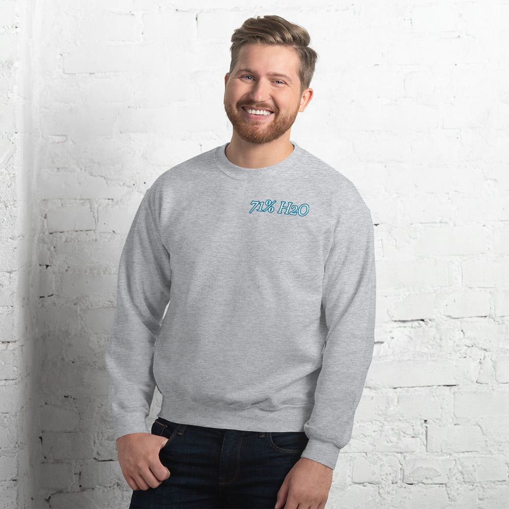 Not Entirely Terriblr Unisex Sweatshirt