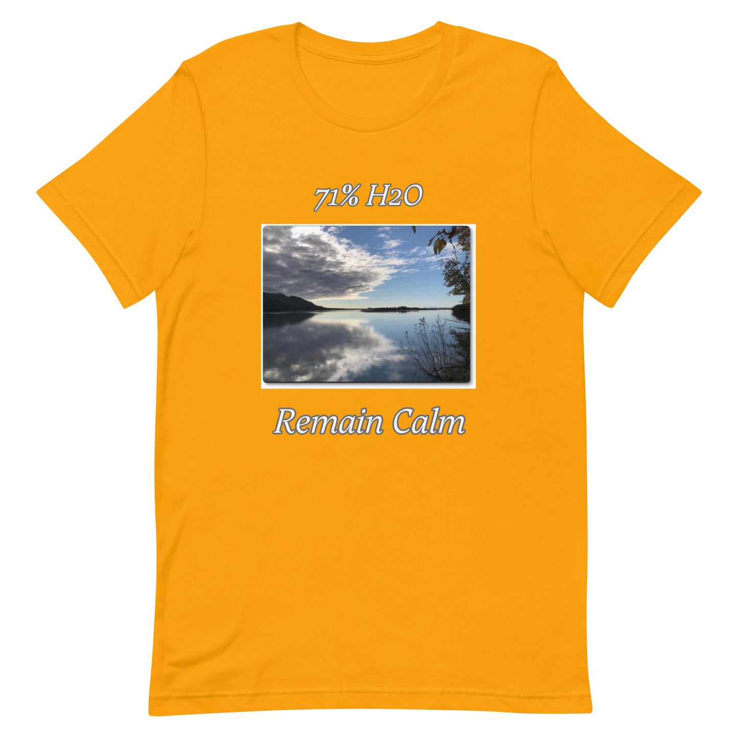 Remain Calm Unisex t-shirt