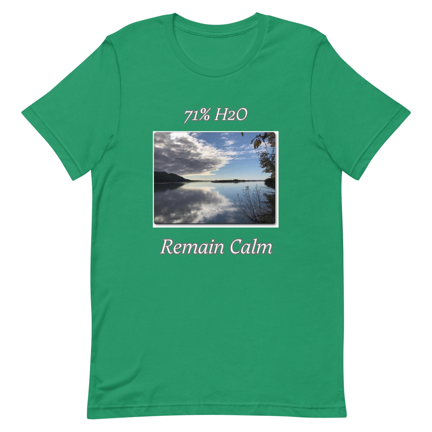 Remain Calm Unisex t-shirt