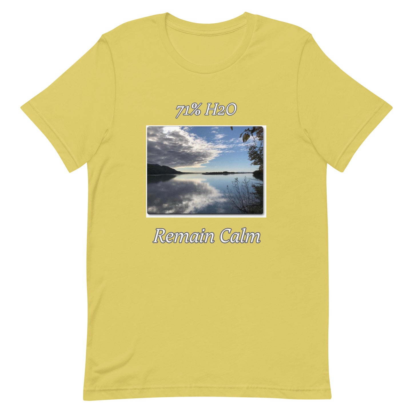 Remain Calm Unisex t-shirt
