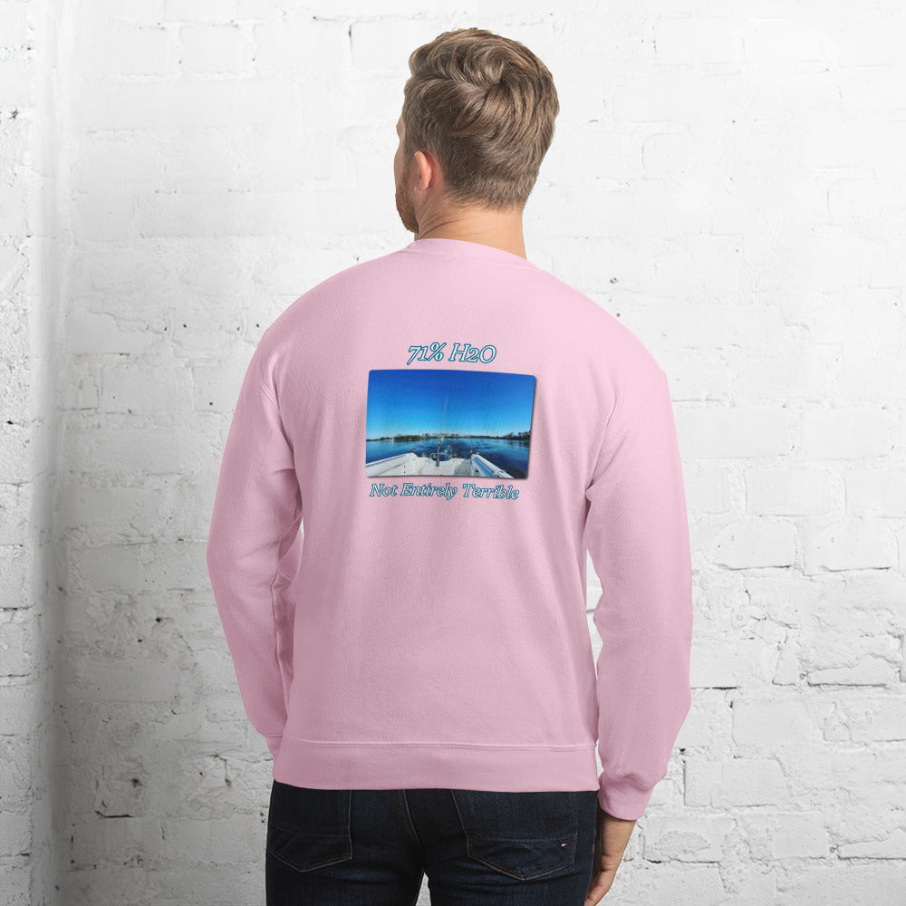 Not Entirely Terriblr  Unisex Sweatshirt