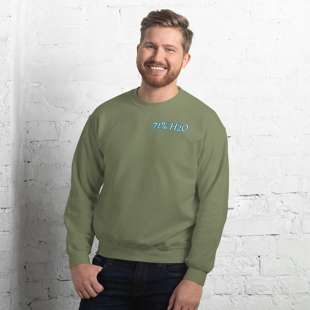 Not Entirely Terriblr  Unisex Sweatshirt