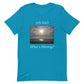 What's Missing? Unisex t-shirt