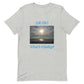 What's Missing? Unisex t-shirt