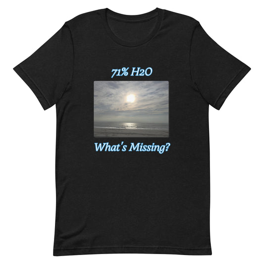 What's Missing? Unisex t-shirt