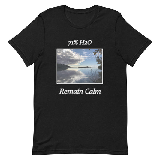 Remain Calm Unisex t-shirt