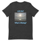 What's Missing? Unisex t-shirt