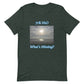 What's Missing? Unisex t-shirt