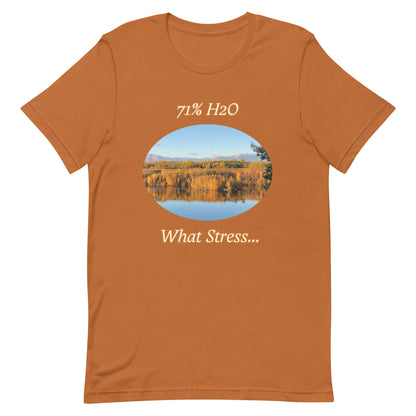 What Stress...Unisex t-shirt